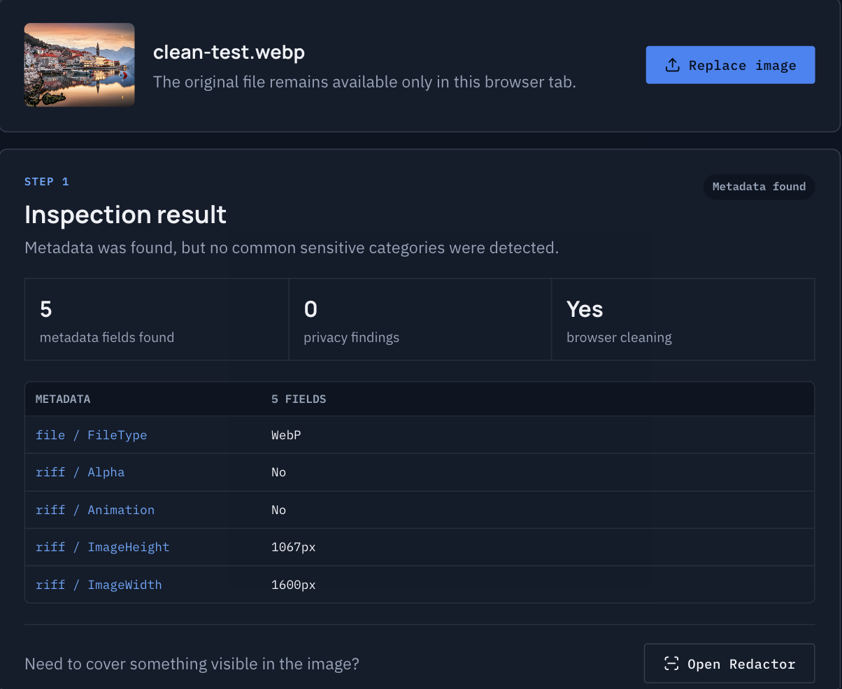 Inspection result after cleaning: 5 metadata fields and 0 privacy findings