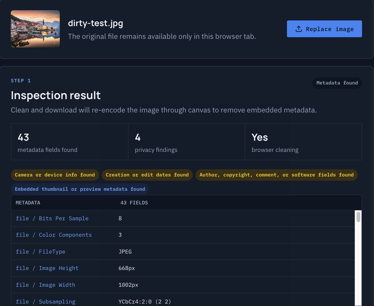Inspection result before cleaning: 43 metadata fields and 4 privacy findings